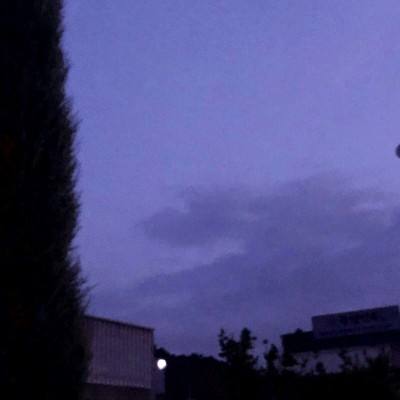 金年会娱乐app官方网站截图