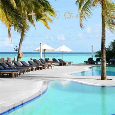 免费的行情网站app