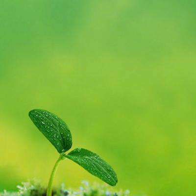 乐鱼体育app截图