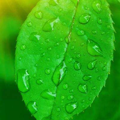 BOB·体育综合APP