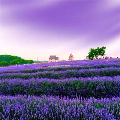 江南体育官网下载